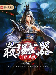 ��ǿ��������ϵͳ