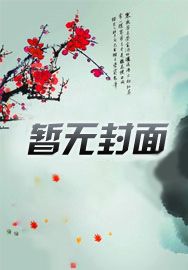 隔壁小王(全息)